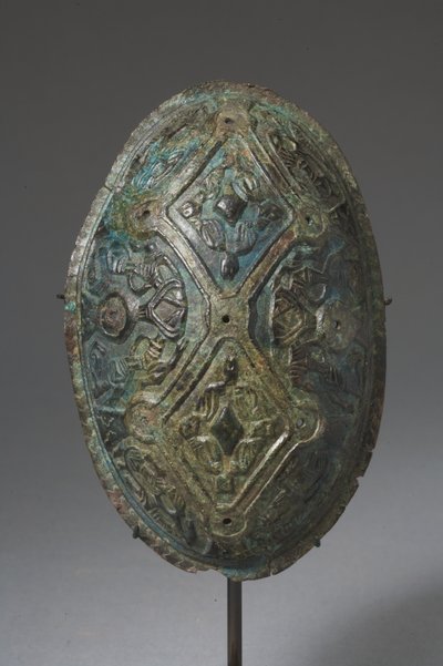 Schildpad broche door Viking